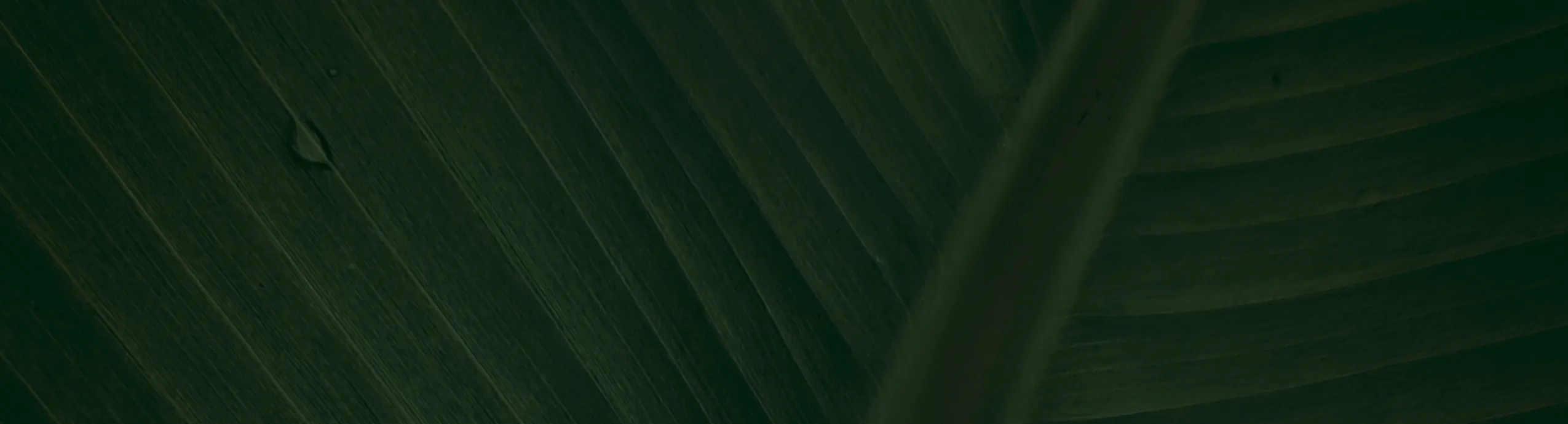 24 Hours Analog Timer