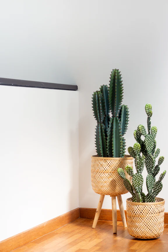 Faux Blue Cactus