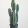 Faux Blue Cactus