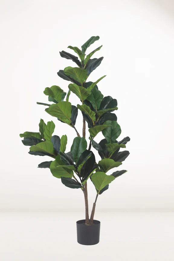 Faux Fiddle Leaf Fig