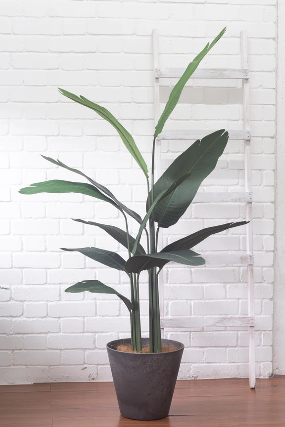 Faux Bird Of Paradise