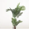 Faux Areca Palm
