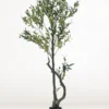 Faux Olive Tree