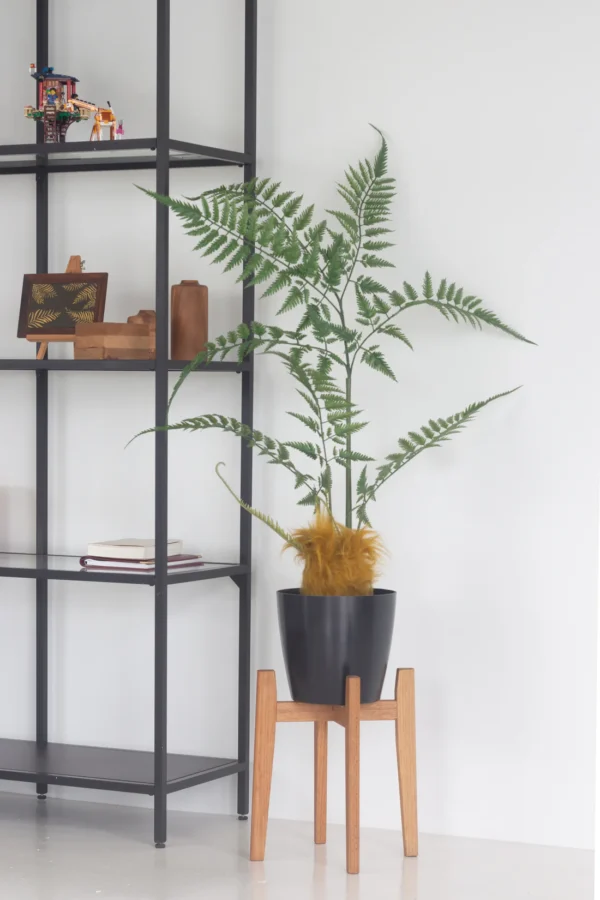 FAUX14GoldenMonkeyFernShortset_1100x Faux Golden Monkey Fern