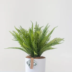 Faux Fern