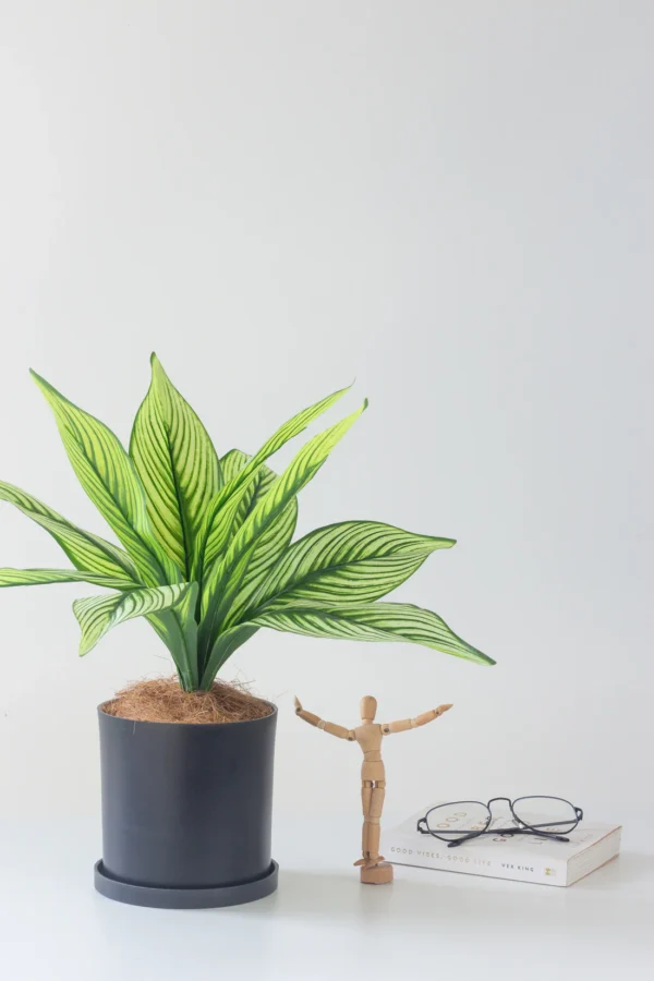 Faux Calathea White Line