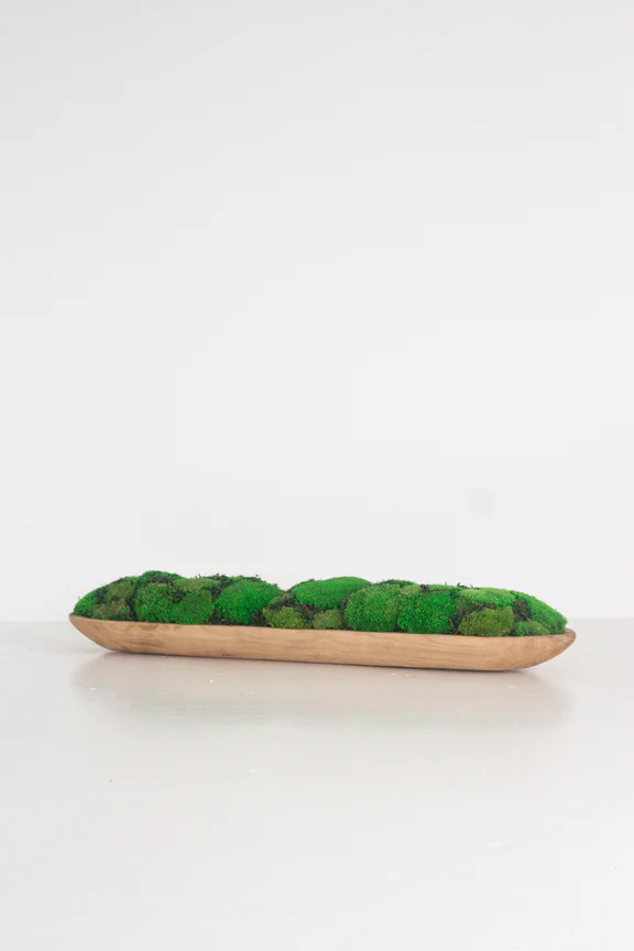 Narrabeen Moss Decor