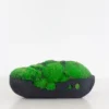 Charcoal Moss Decor