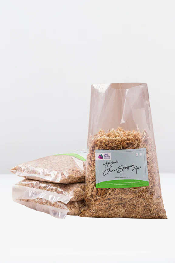 Chilean Sphagnum Moss (Grade 7A)